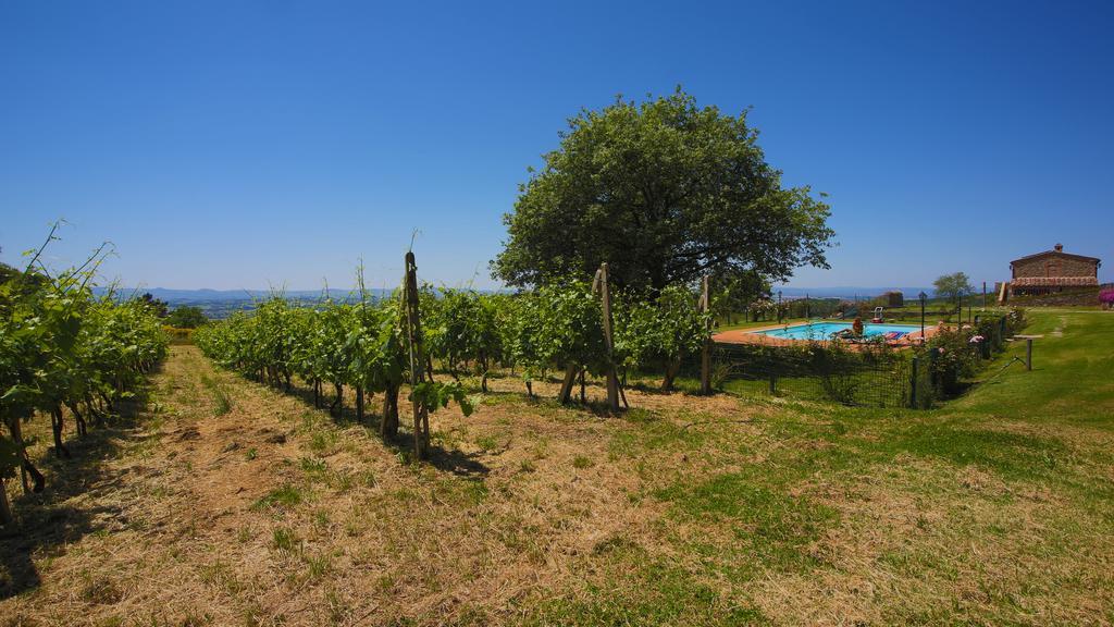 Tenuta Angelici Winery Casa Contea With Pool And Panoramic Pool Cortona Villa Terontola Room photo